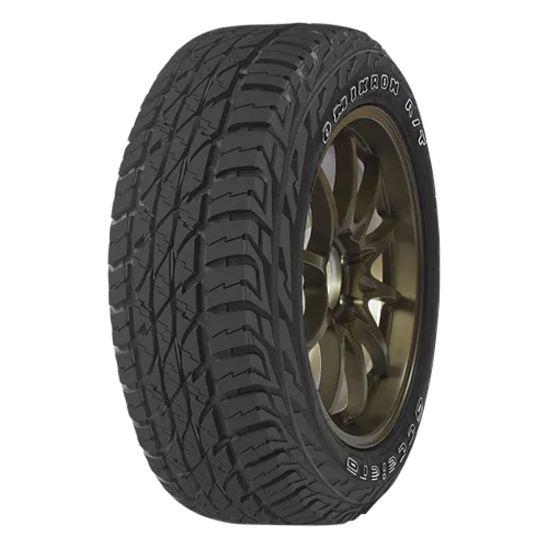 Accelera Omikron AT