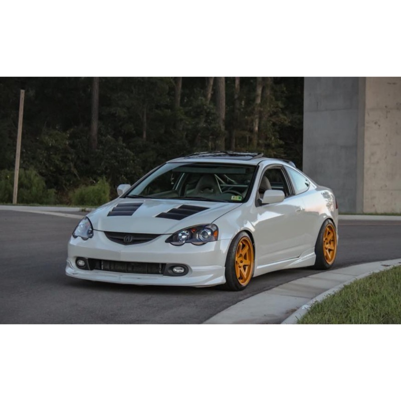 02-06 Acura RSX TS-1 Hood