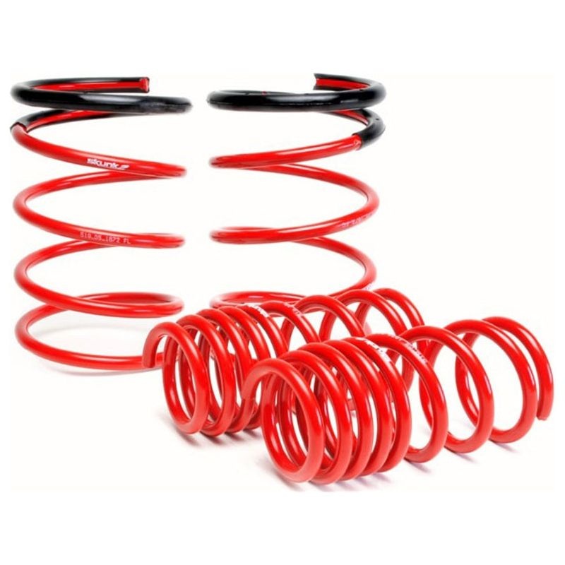 Skunk2 Lowering Springs (2.25in – 2.00in.)  02-04 Acura RSX`